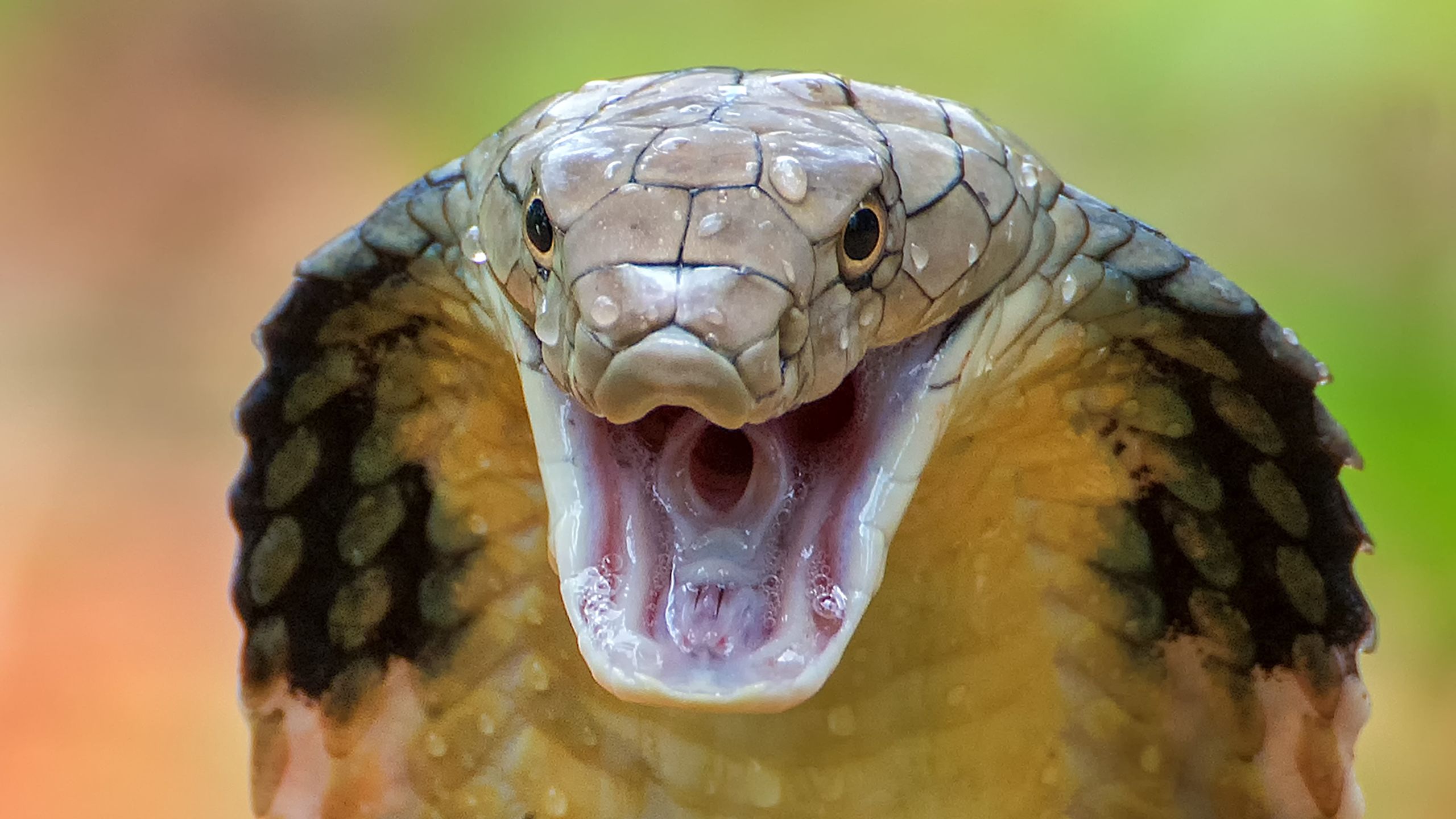 www.livescience.com