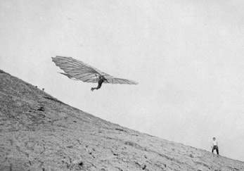 More_otho_flying.JPG