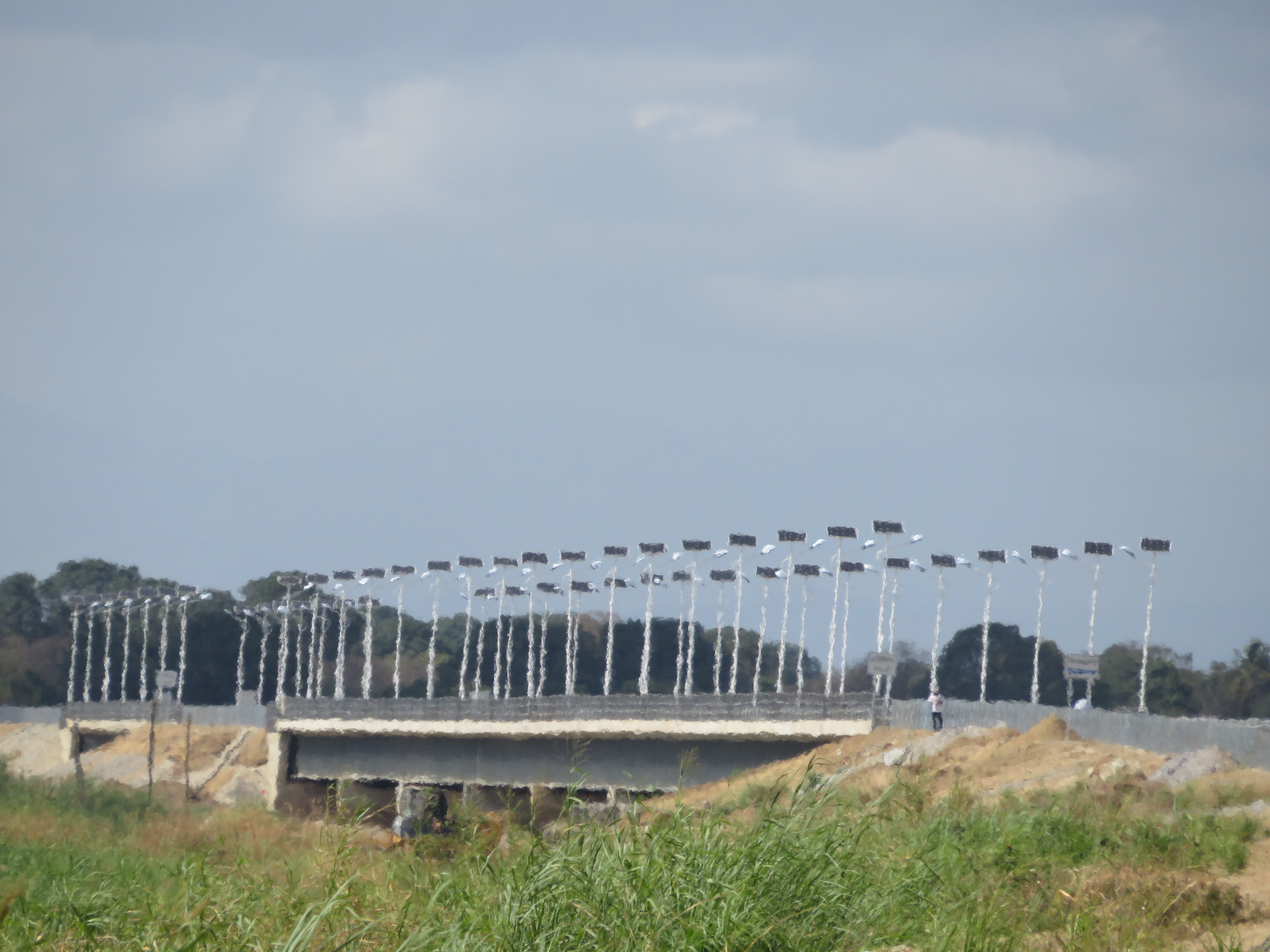 AF1QipMnaDIVqBvYRbBGBRbJslMSQ1cYcaJkDqZ0OytW=s0