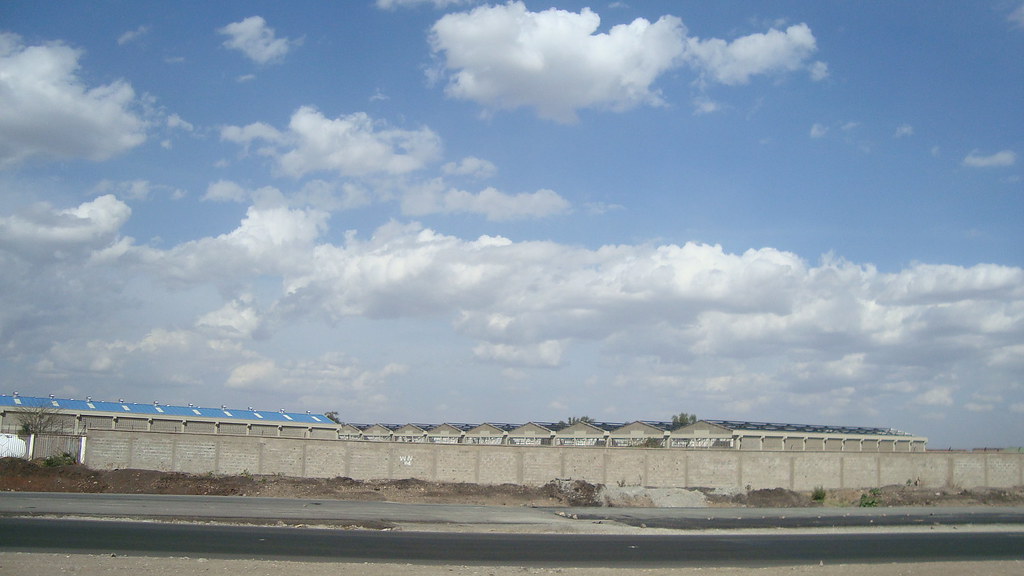 5225752635_83d93f748a_b.jpg