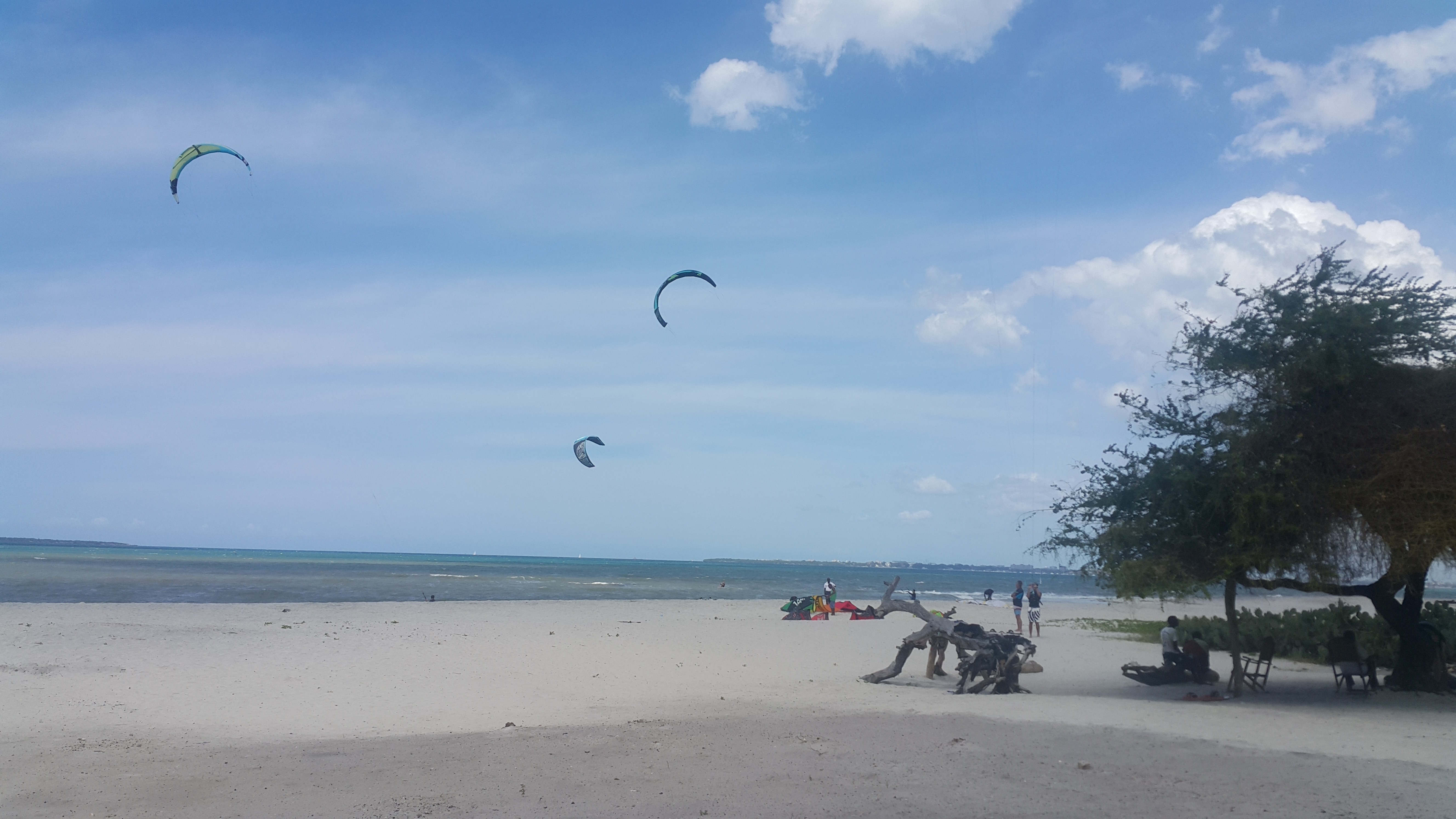 AF1QipNzchUlM6P8r04BVmxcjFqCxKaY5LVrl71xvEe1=s0