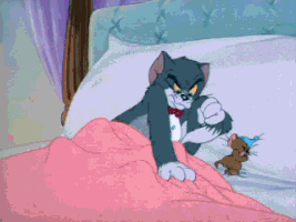 9ff07757c6ead13d268fb321ef48aee6.gif