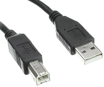 41McK58dM9L._SX355_.jpg
