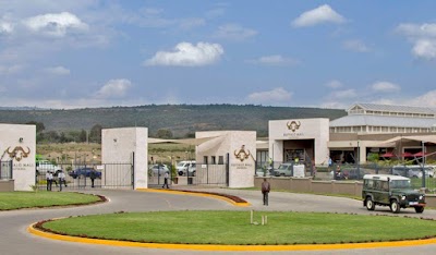 AF1QipNYg5kf8tzz5l5tGCDwb8-Paa37IM1ztMcNUYuQ=s1600-w400