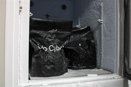 cilo cybin