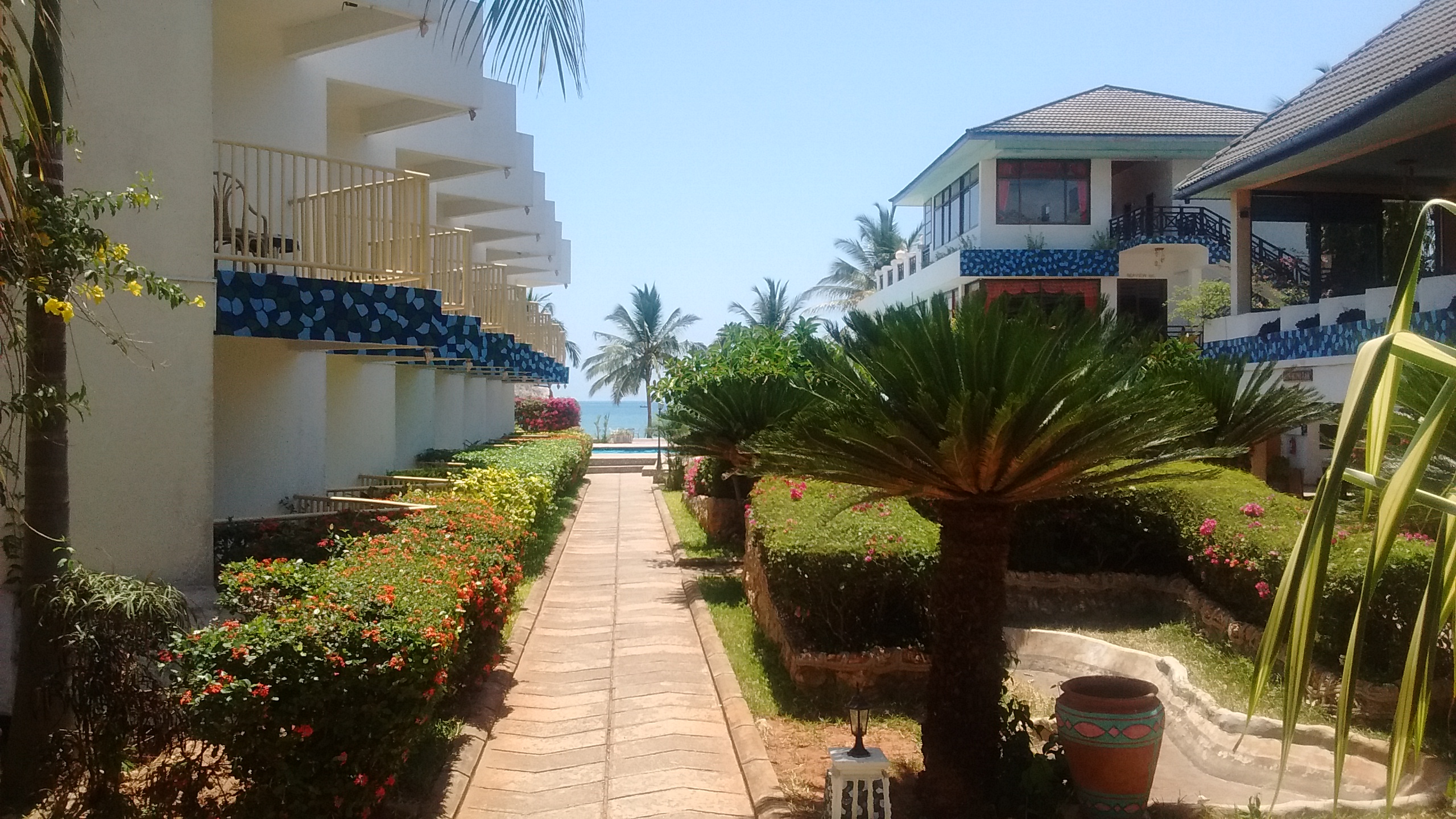 AF1QipNGWz_f46uYu2BQ75Mk0YjCrOgSiEuonlnc9jan=s0