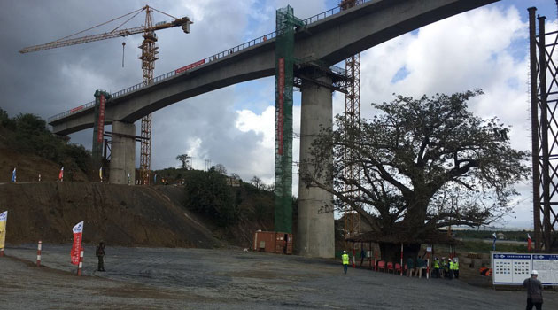 SGR-BRIDGE-2-1.jpg