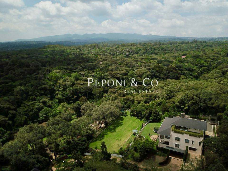 Peponi-Co-Mbagathi-USD-3m-3.jpeg