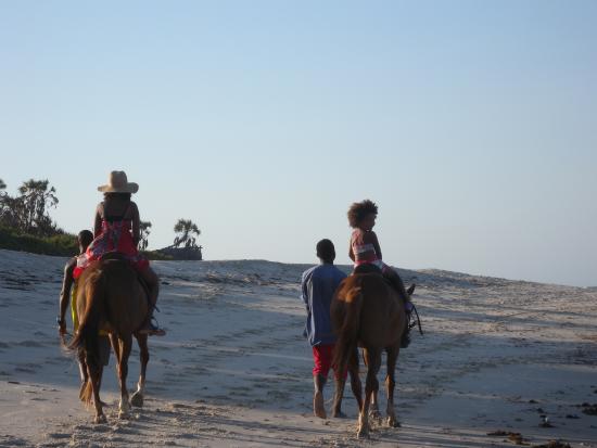 horse-riding-at-sunset.jpg