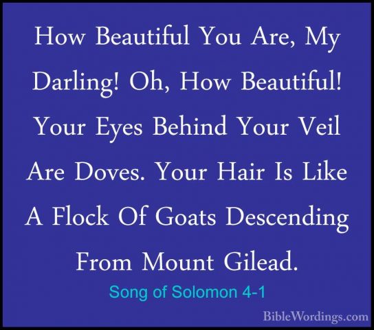 Song-of-Solomon-4-1-544x480.jpg