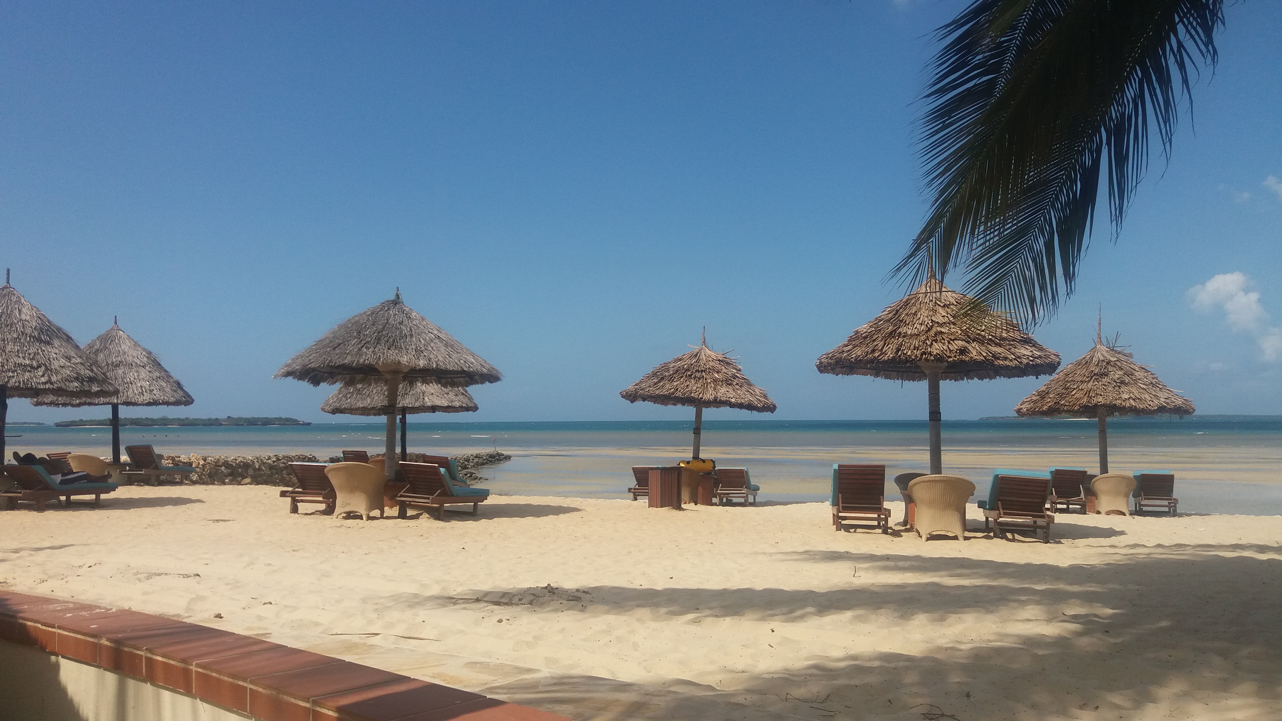 AF1QipPeGoIPRowwzbnJC8eCqYdGlJjDgaC4D2KfNVMm=s0