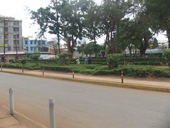 2908950880_08cd0a3687_m.jpg