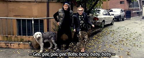 giphy.gif