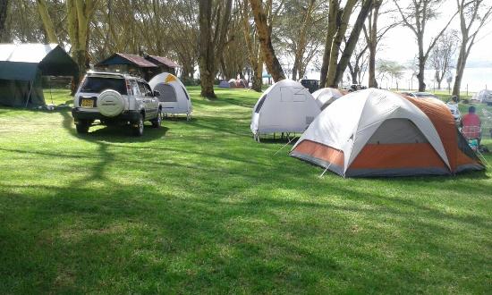 good-times-at-the-campsite.jpg