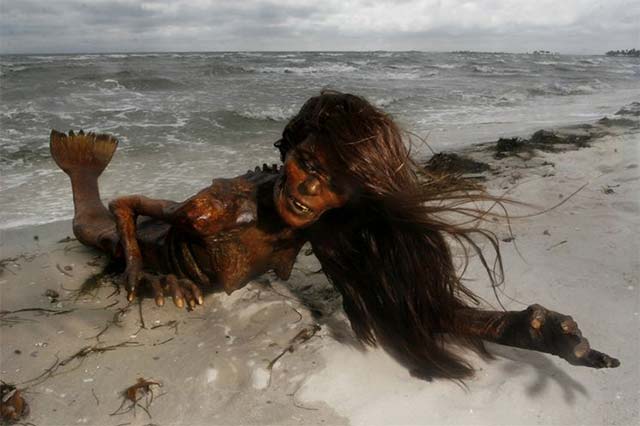 dead-mermaid.jpg