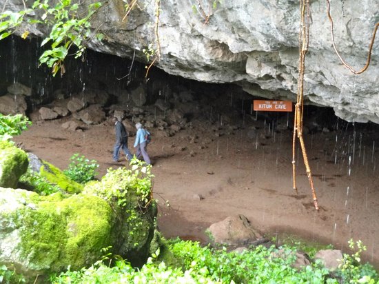 mount-elgon-national.jpg