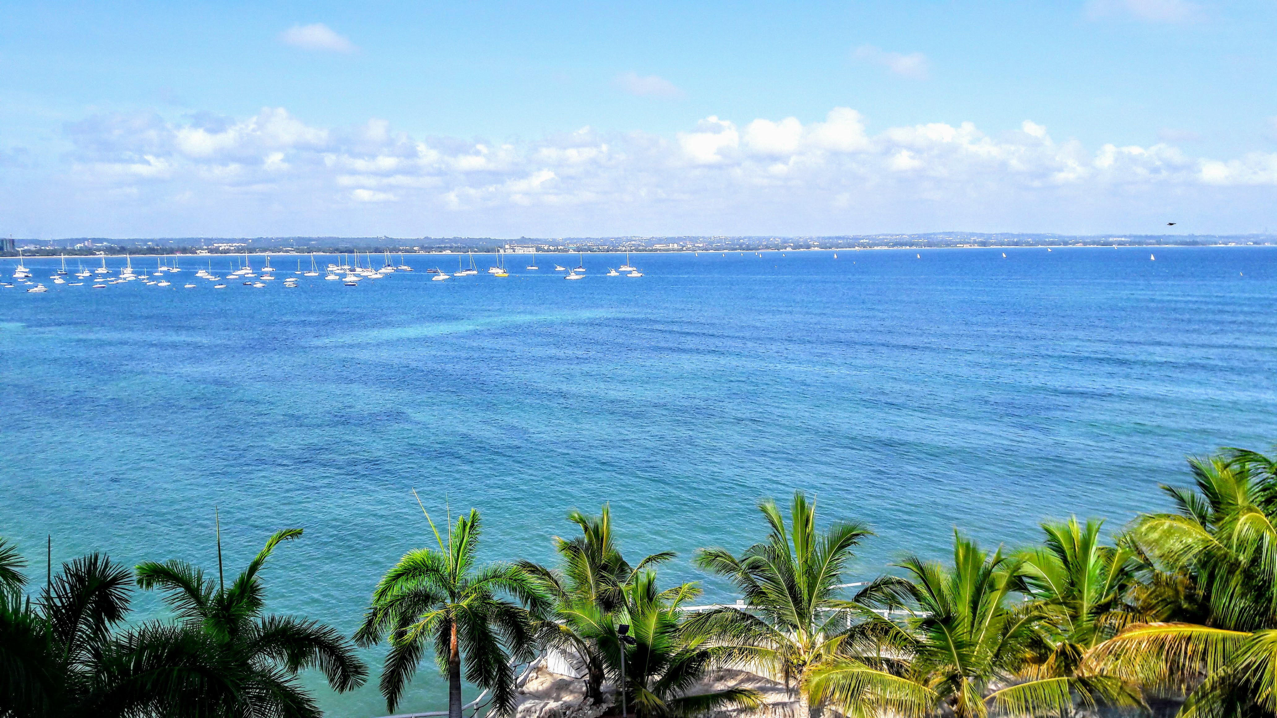 AF1QipPgZBZJtsIIK8Wo62n9dZpG18k8Y37zFF83M5aE=s0