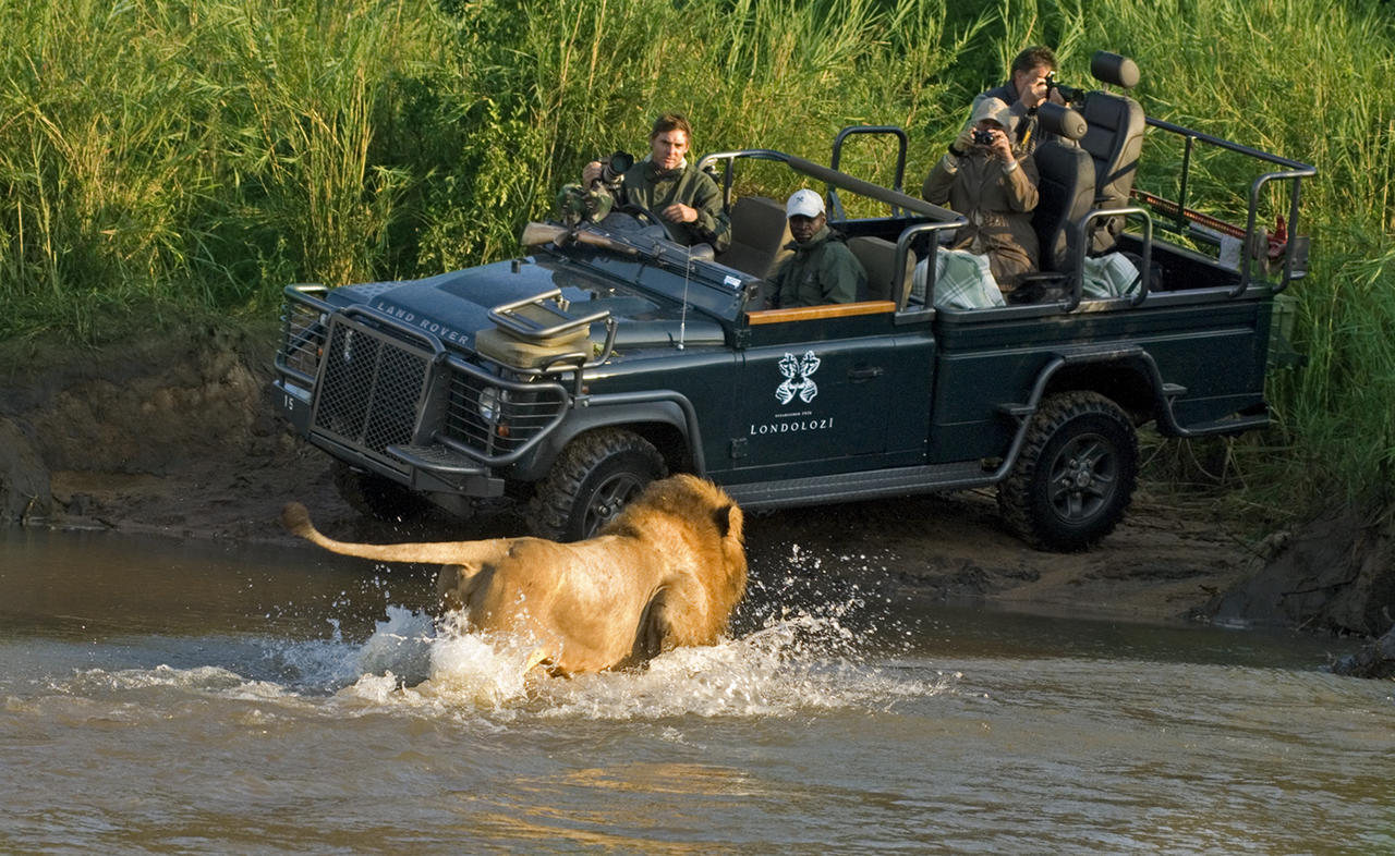 DD%20LandRover%20Lion1.jpg