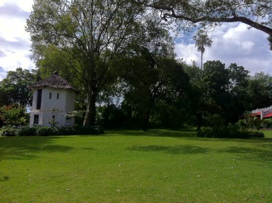 ngare-sero-mountain-lodge.jpg
