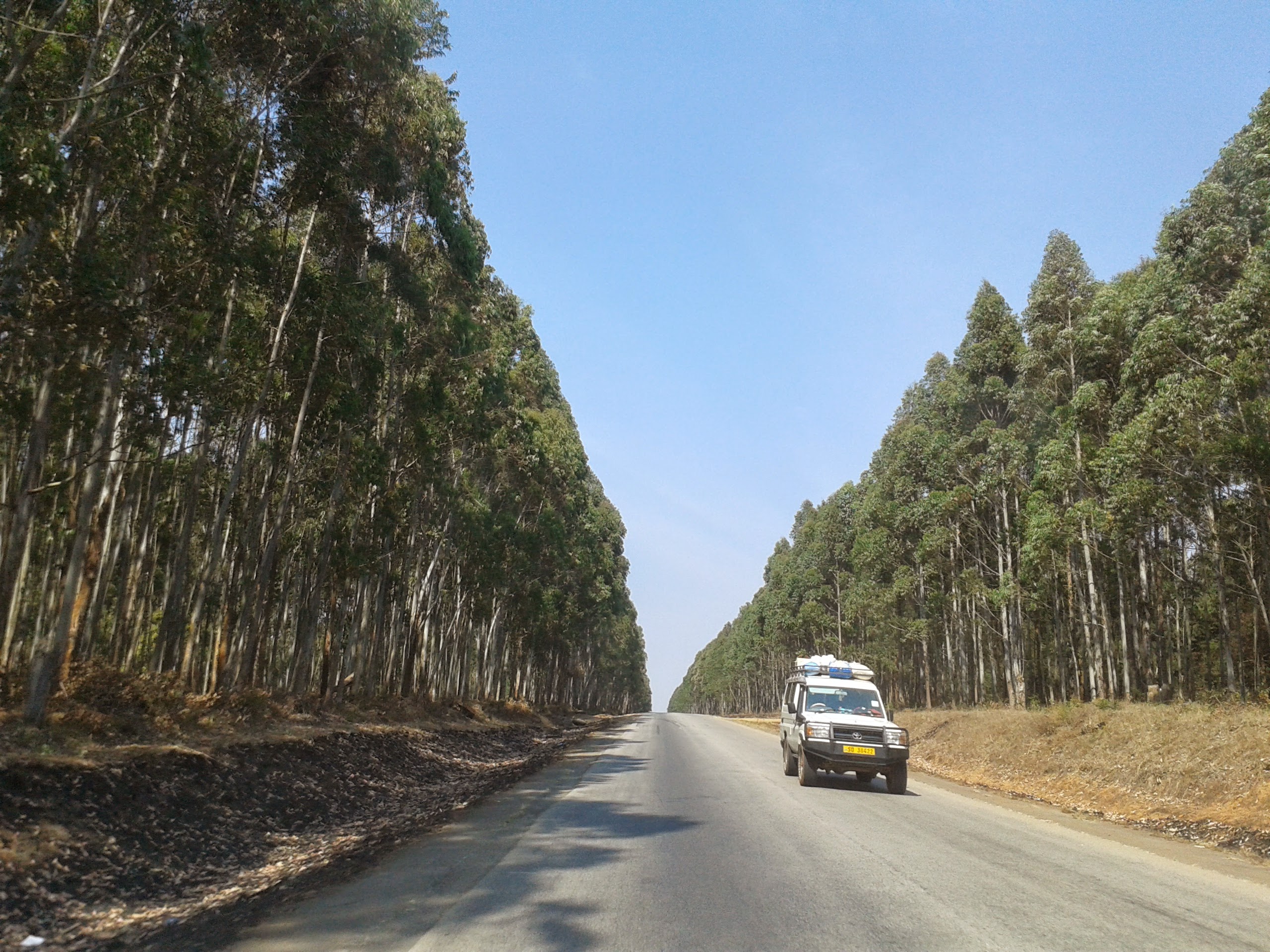 AF1QipNjbQsrelBATz7ewm43dupxvgFfbHzP7v41-8yc=s0