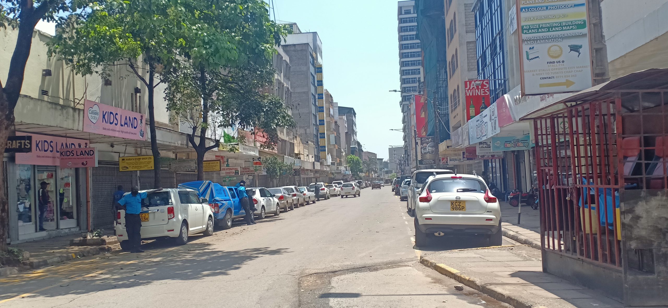 Half Day-Nairobi City Tour - Kenyatalii