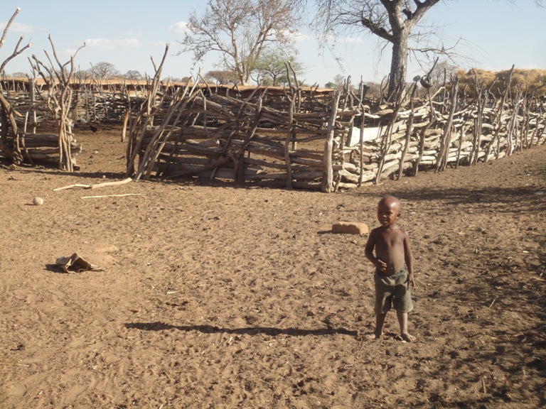 boma-la-ngombe-katika-kijiji-cha-ilindi.jpg