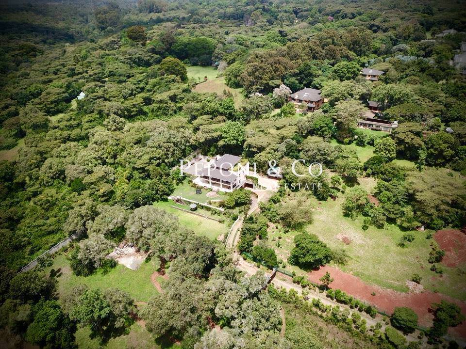 Peponi-Co-Mbagathi-USD-3m-4.jpeg