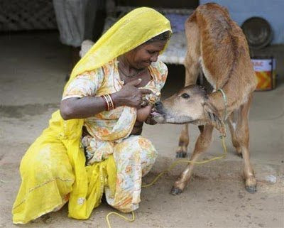 india.jpg