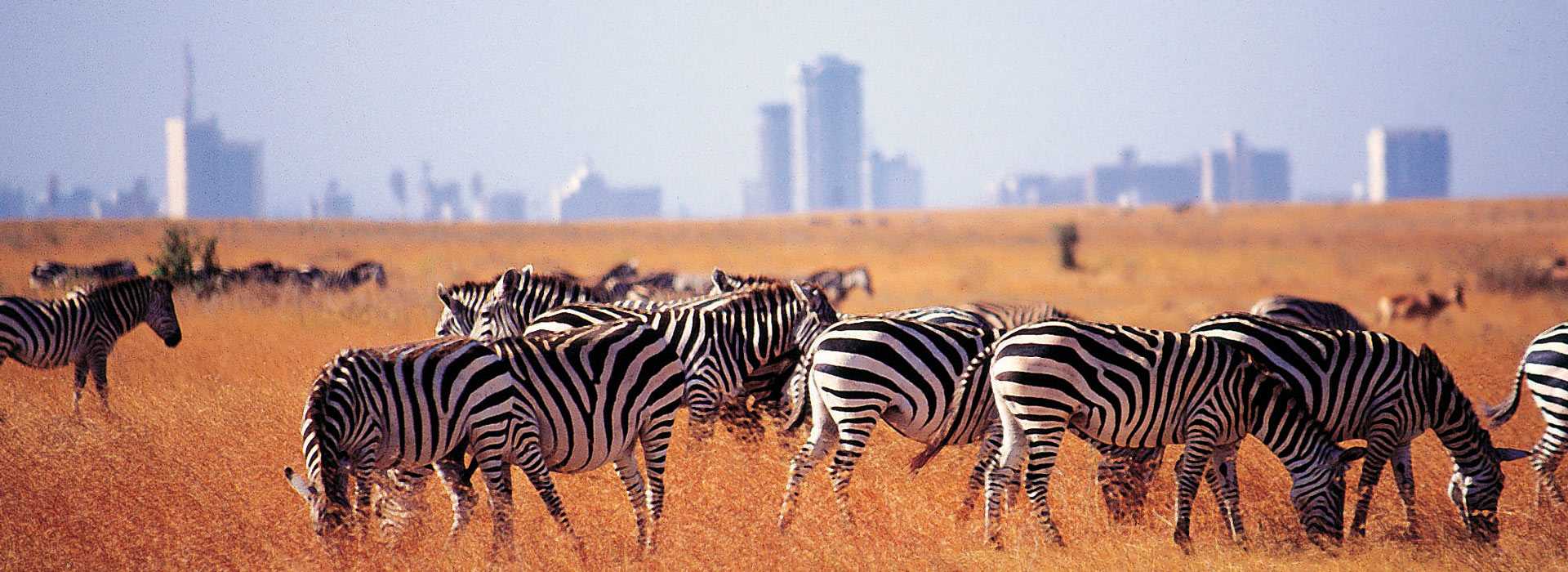 nairobi1.jpg