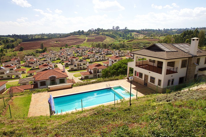 8131206_limuru5_jpegee4ce0a183a160900d36feb5437d30e9