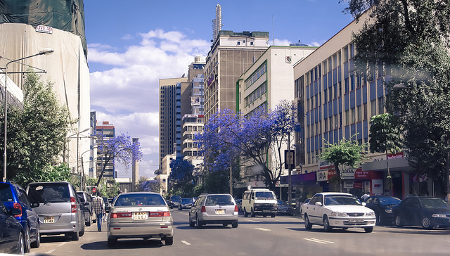 jacarandas-downtown-nairobi.jpg