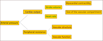350px-Arterial_pressure_diagram.png