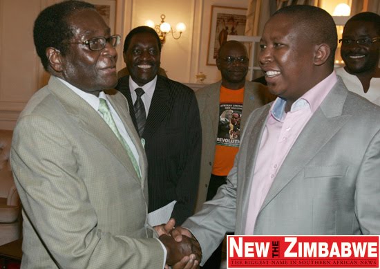 malema-mugabe550.jpg