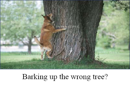 barking-up-wrong-tree.jpg