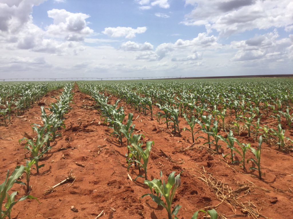 CmbkYQ2WgAAbwtT.jpg:large