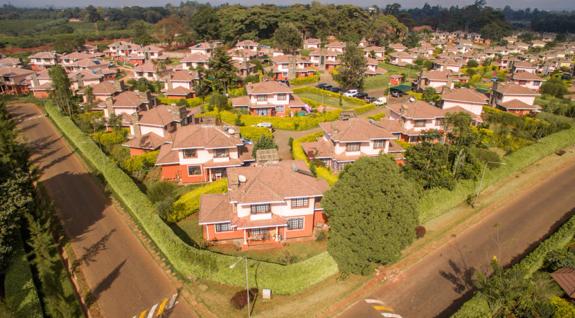 DJI_0056-copy-830x460.jpg