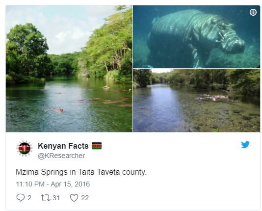 trend1-7.jpg