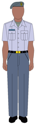 120px-Tanzania_Airforce_Officer_casual_uniform.png