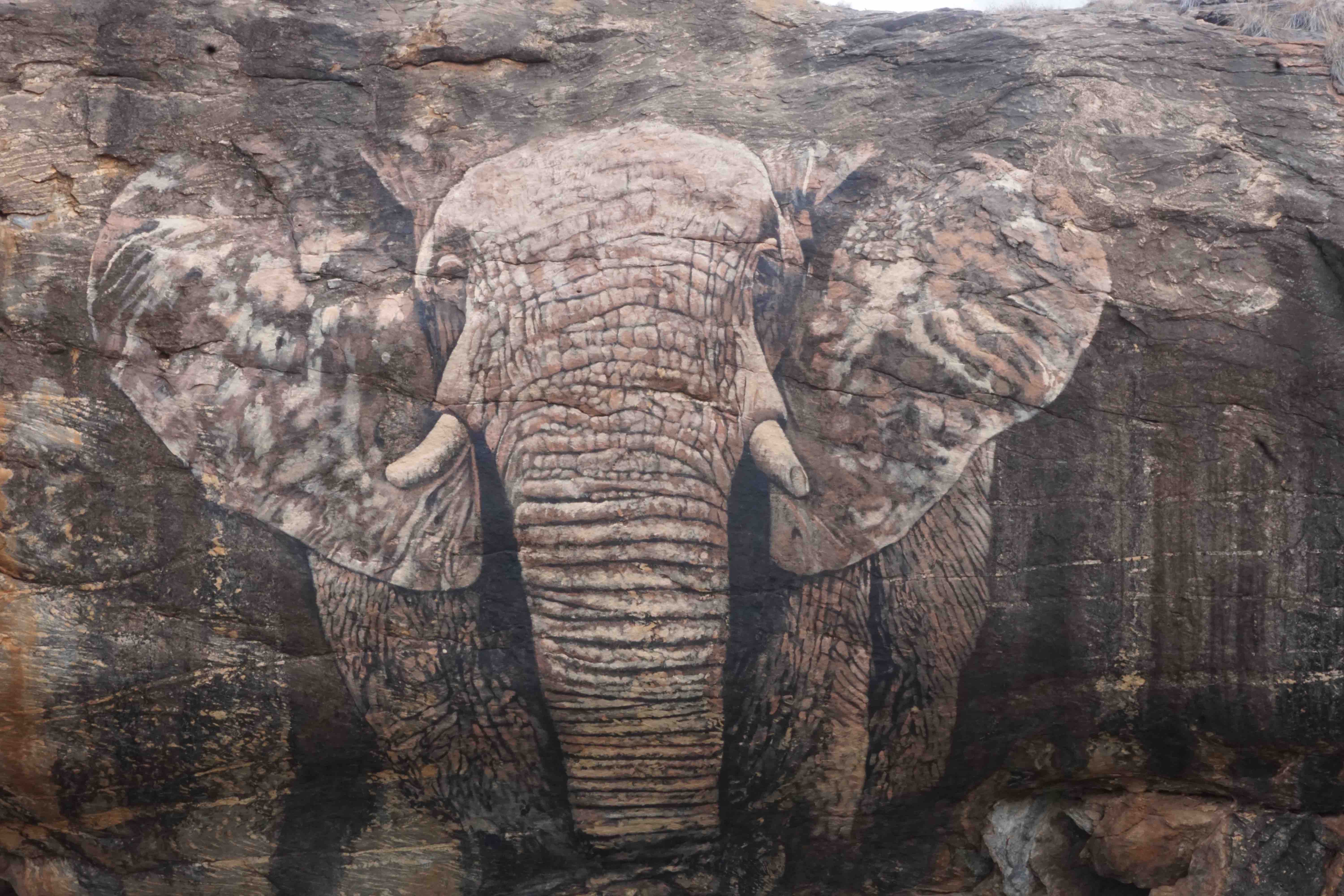 savingwild.com
