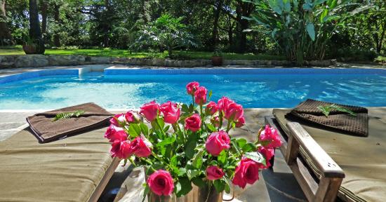rivertrees-country-inn.jpg