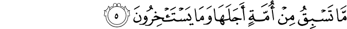 15_5.png