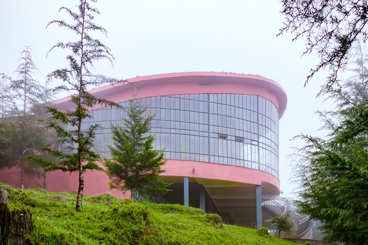 8131207_limuru6_jpegc84b94c74101654c642091f09cc38da7