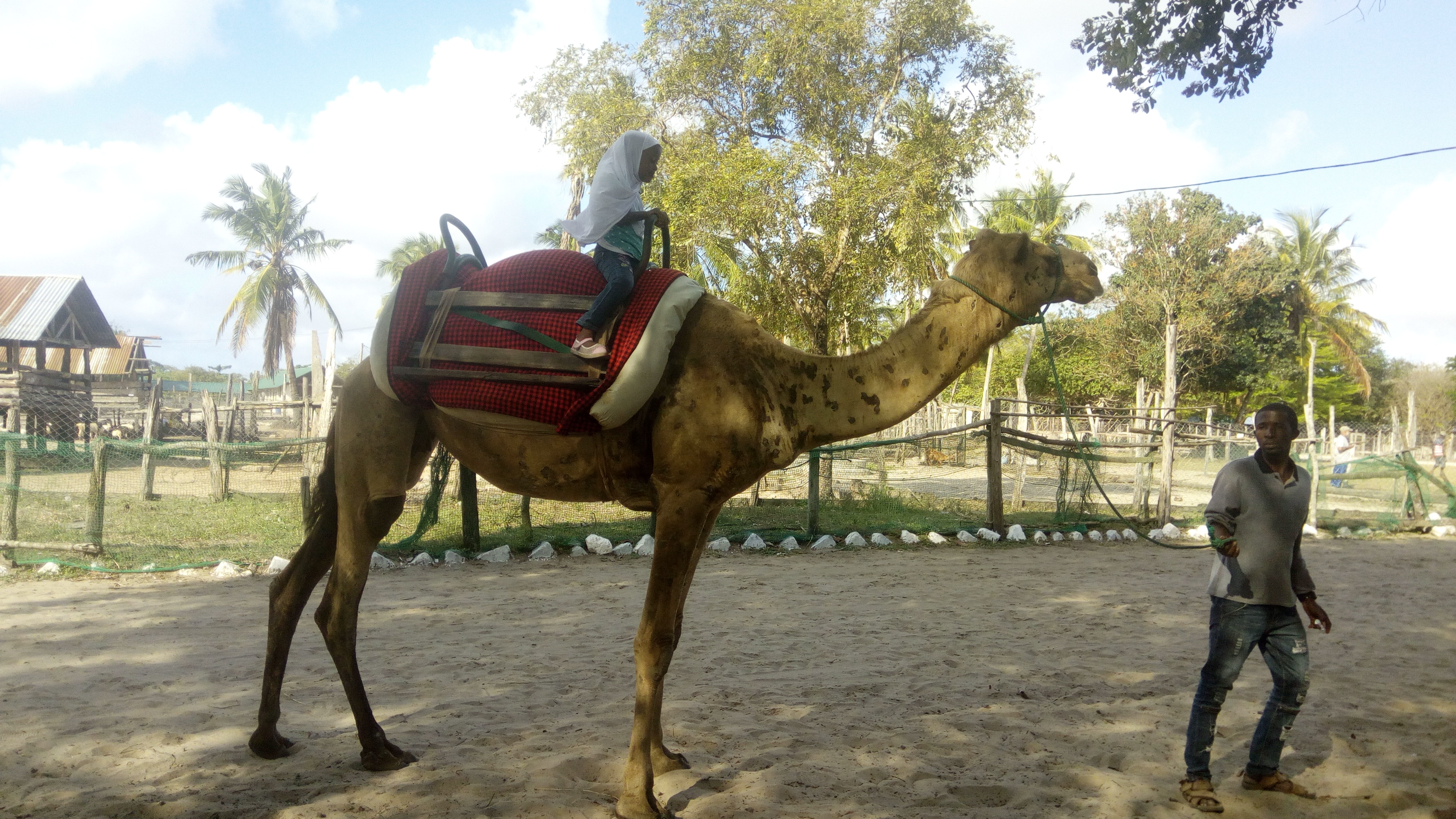 AF1QipN9jF6aHnE10eNTC5m4LR24ohj7hPFhbGvpBaR1=s0