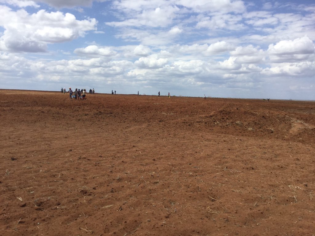 CmbmSniXYAAKUzW.jpg:large