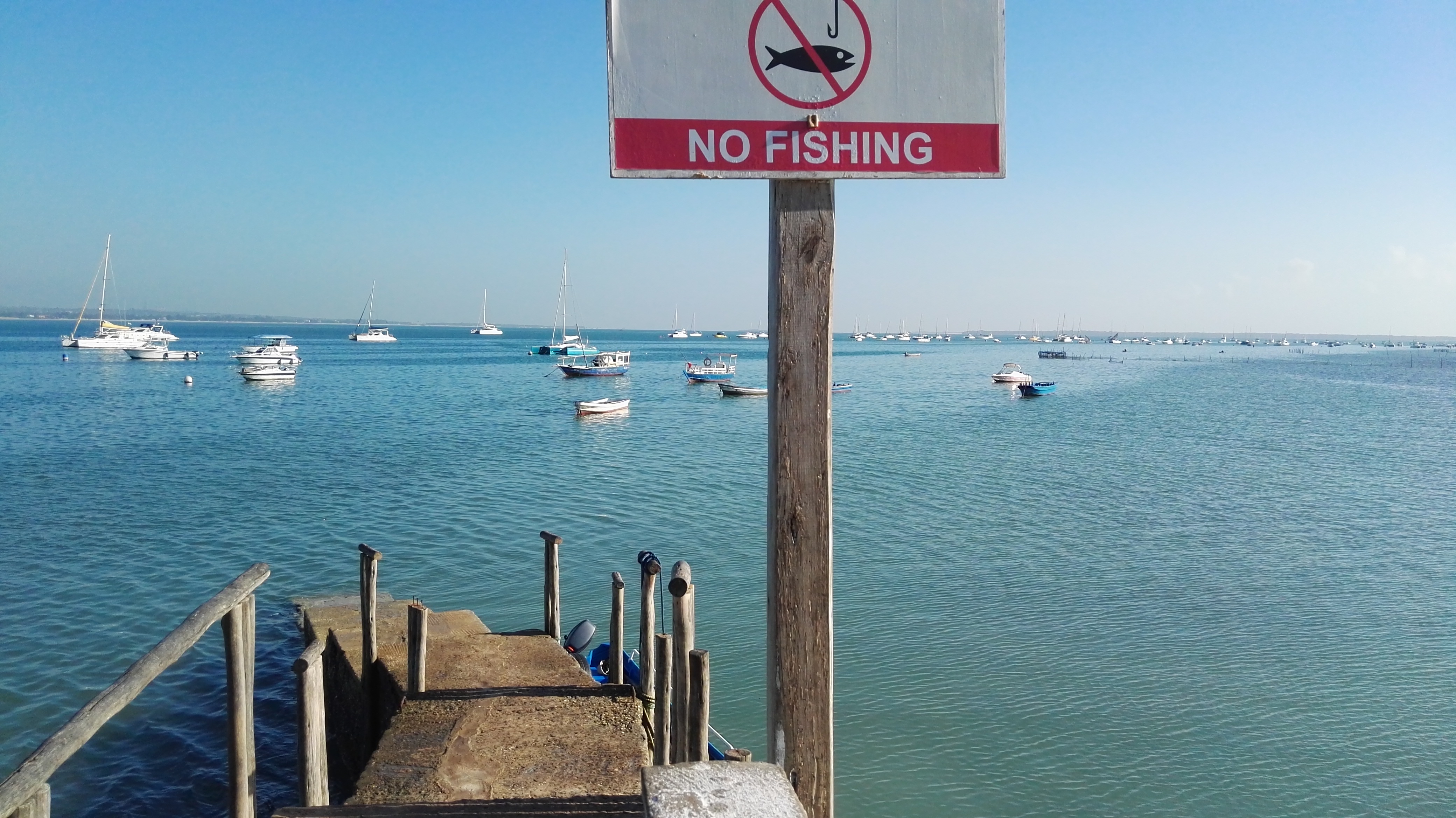 AF1QipNbBM0hydGbGe8T1Dy8gb0B_ZsXMG8BLIDzNpn5=s0