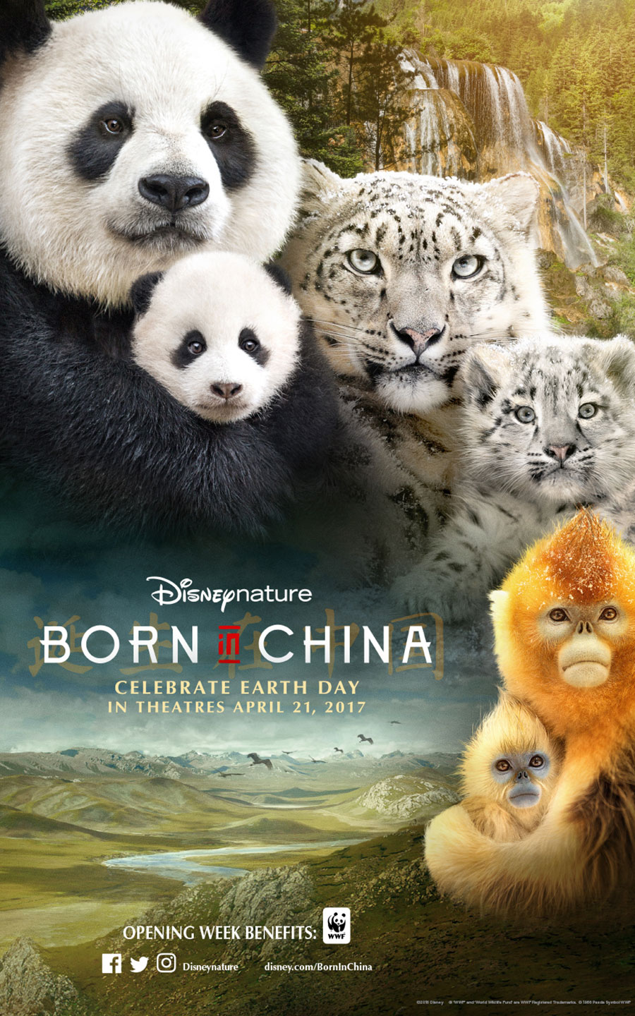 MOVIES-Born-in-China.jpg