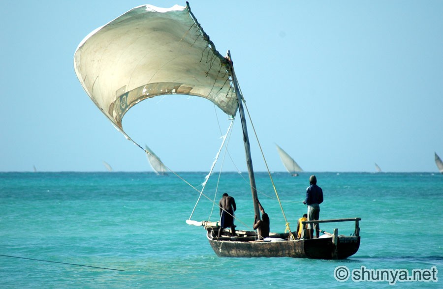 OceanView05.jpg