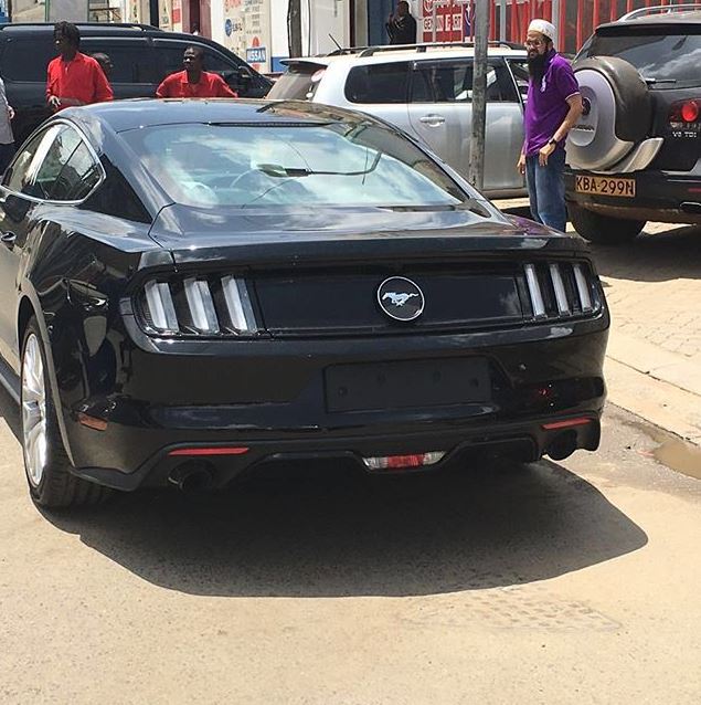 mustang.jpg