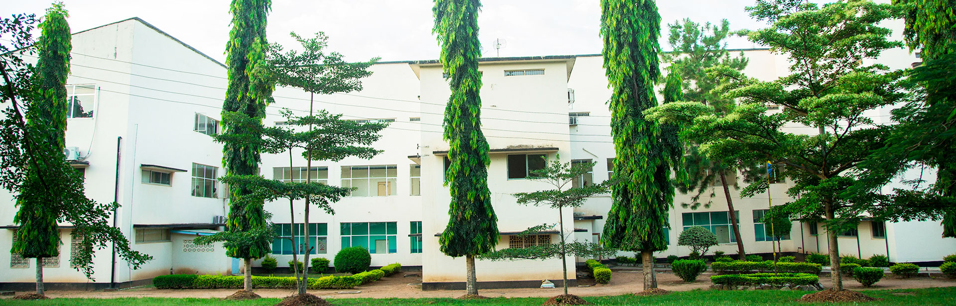 nimri-mwanza-center.jpg