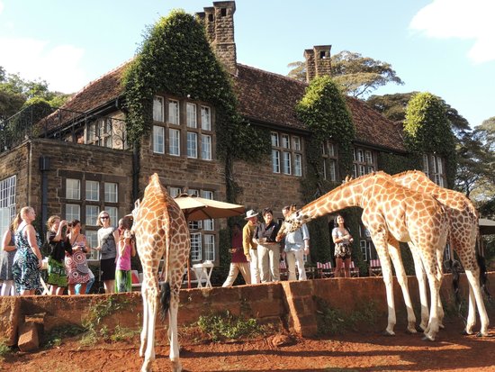 giraffe-manor.jpg